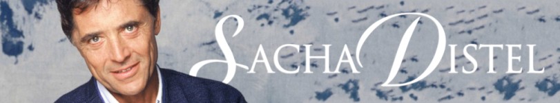 artist banner