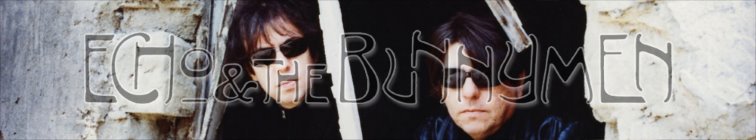 artist banner