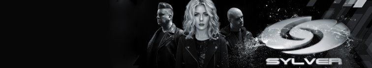 artist banner