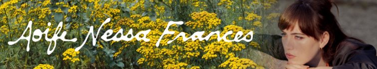 artist banner