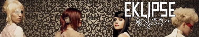 artist banner