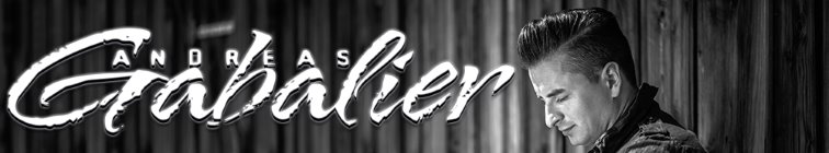 artist banner