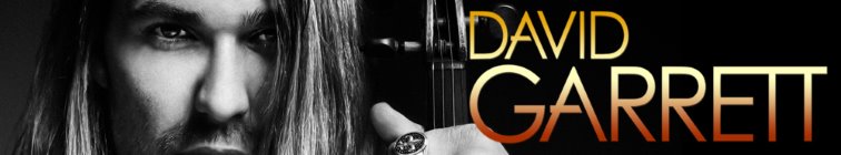 artist banner
