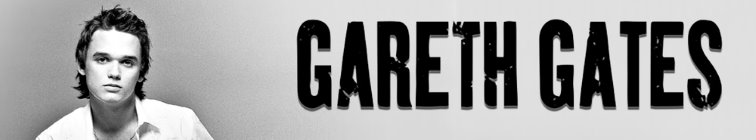 artist banner