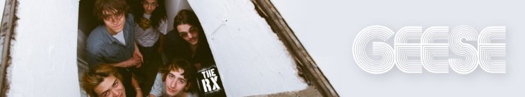 artist banner