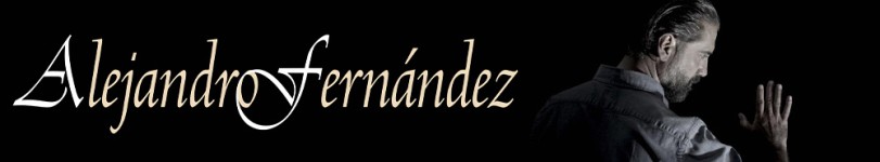 artist banner