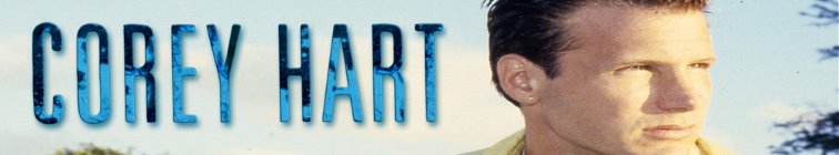 artist banner