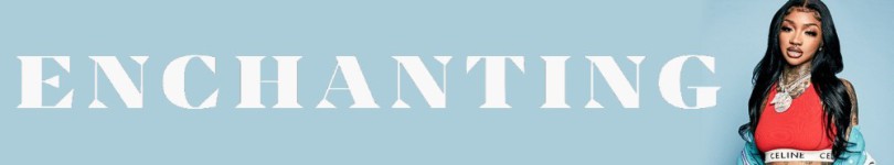 artist banner