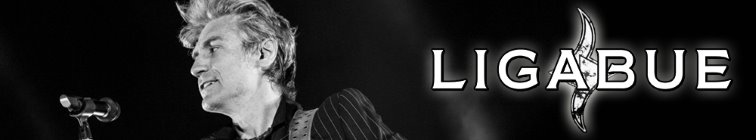 artist banner
