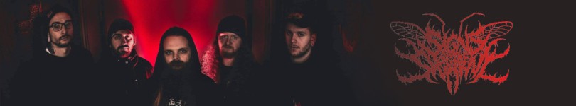 artist banner