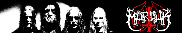 artist banner