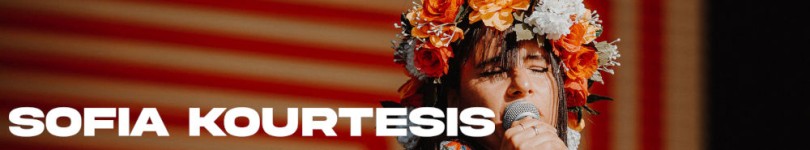 artist banner
