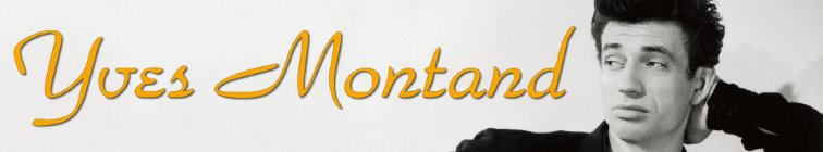 artist banner