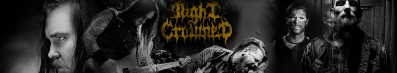 artist banner