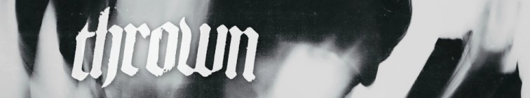 artist banner