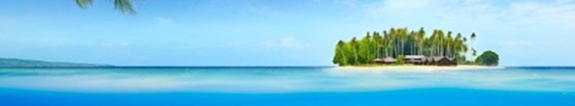 artist banner