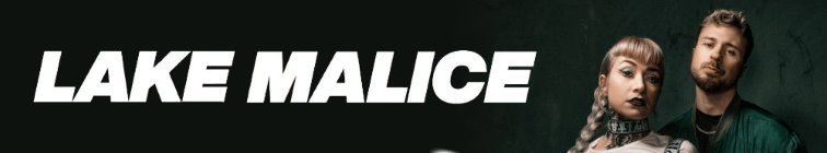 artist banner