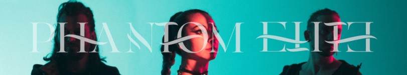 artist banner