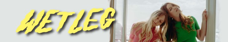 artist banner