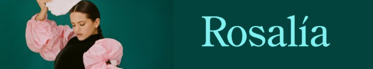 artist banner