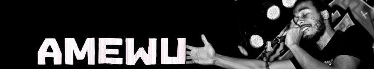 artist banner