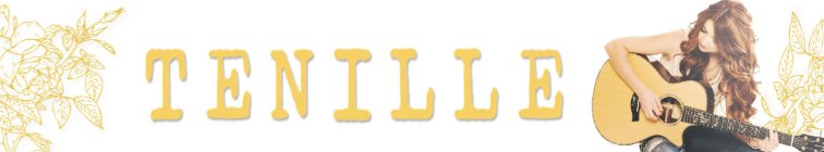 artist banner