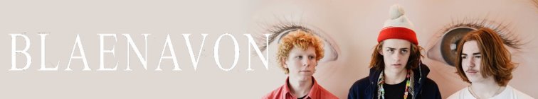 artist banner