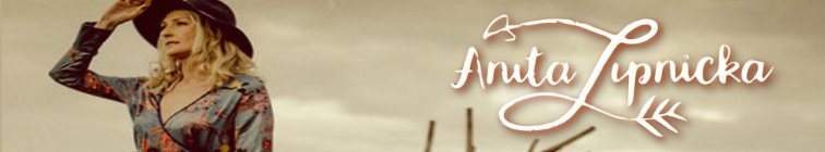 artist banner