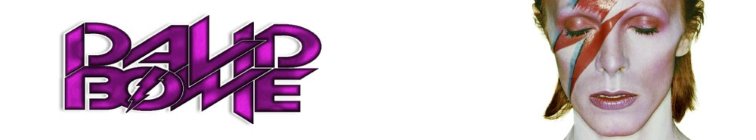 artist banner