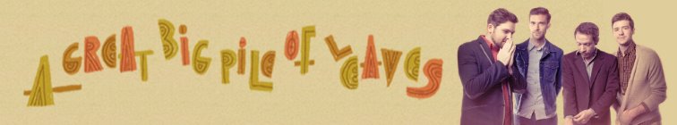 artist banner