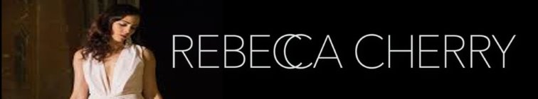 artist banner
