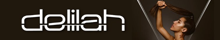 artist banner