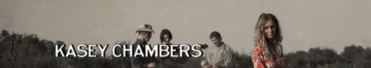 artist banner