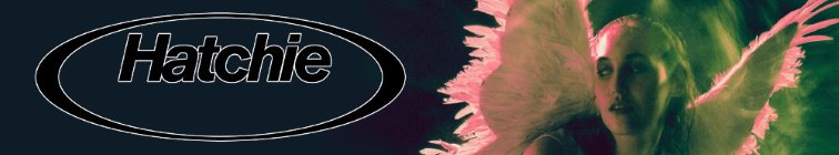 artist banner