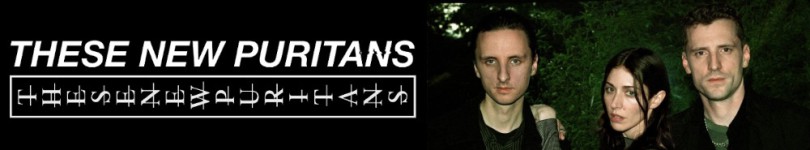 artist banner
