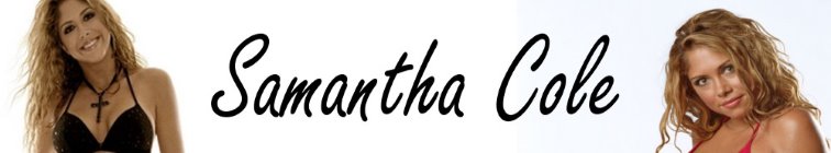 artist banner