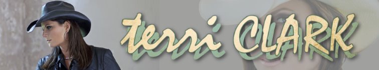 artist banner