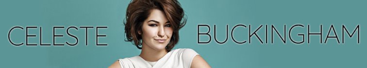 artist banner