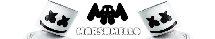 artist banner