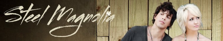 artist banner