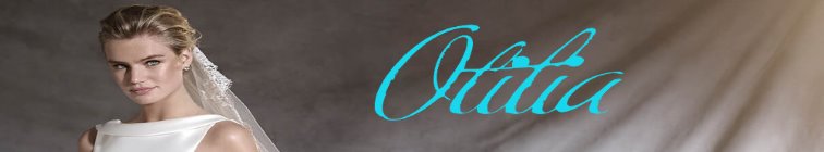 artist banner