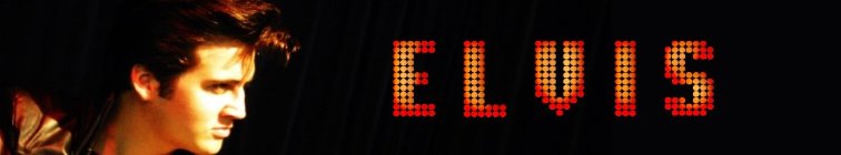 artist banner