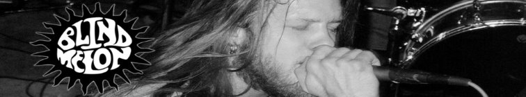 artist banner