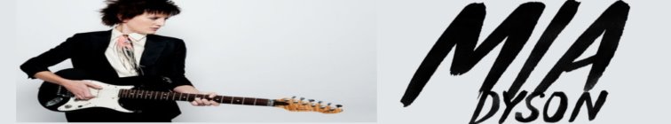 artist banner