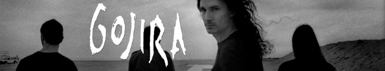 artist banner