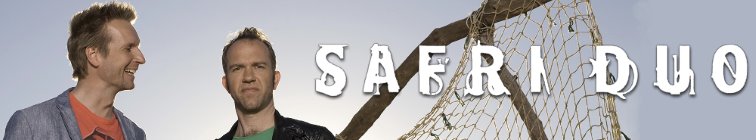 artist banner
