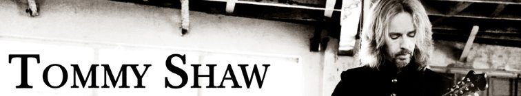 artist banner