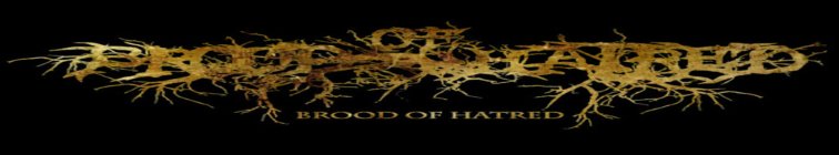 artist banner
