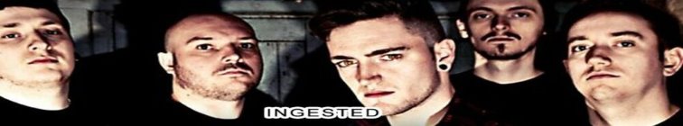 artist banner