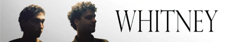 artist banner
